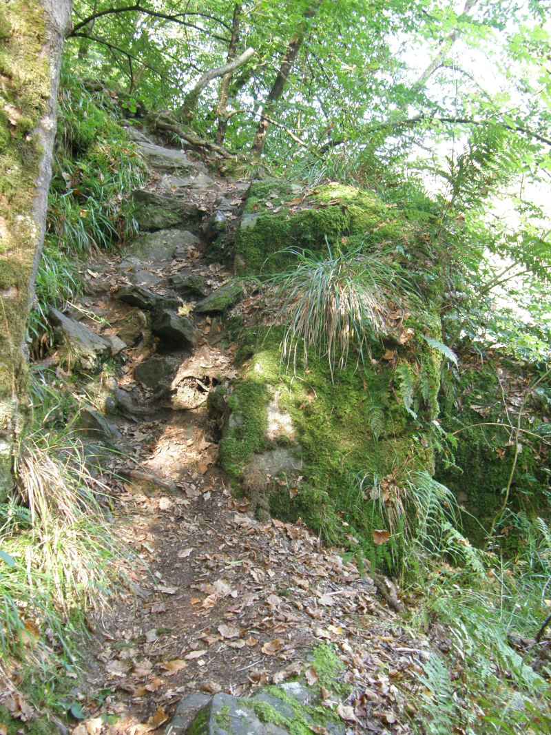 photo 16 promenade  Ourthe Nadrin Houffalize